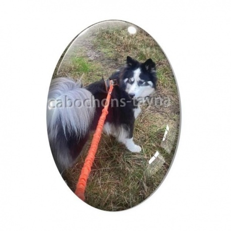 Cabochon Verre Ovale - commande roux