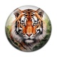 Cabochon Résine - tigre