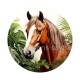 cheval