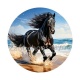  cheval