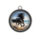 Pendentif Cabochon Argent -  cheval