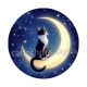 chat noir sur lune