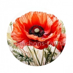 coquelicot rouge