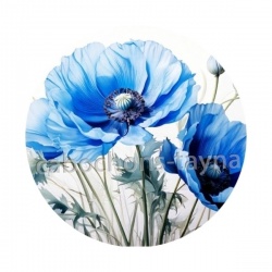 coquelicot bleu