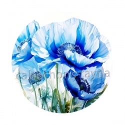 coquelicot bleu