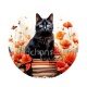 chat coquelicot livre