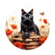 chat coquelicot livre