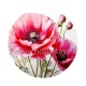 coquelicot fuchsia