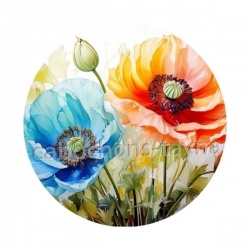 coquelicot multicolore