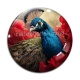 Cabochon Verre - paon