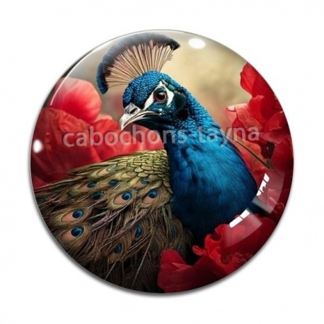 Cabochon Verre - paon