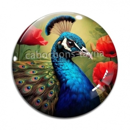 Cabochon Verre - paon