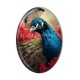 Cabochon Résine Ovale - paon coquelicot