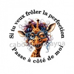 si tu veux frôler la perfection passe à côté de moi