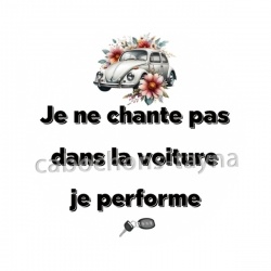 je ne chante pas dans la voiture je performe