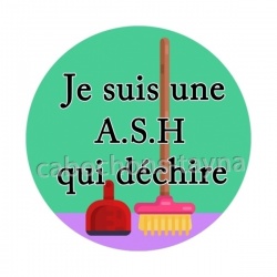je suis une ASH qui déchire