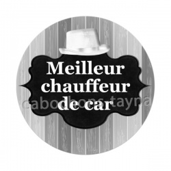 meilleur chauffeur de car