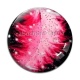 Cabochon Verre - plume