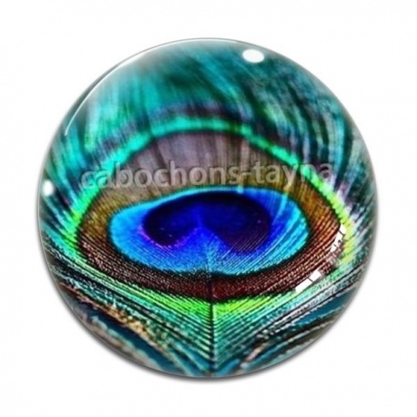Cabochon Verre - plume paon
