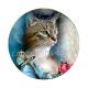 chat