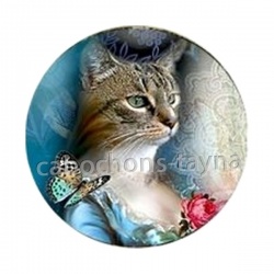 chat
