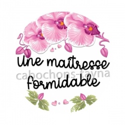 une maitresse formidable