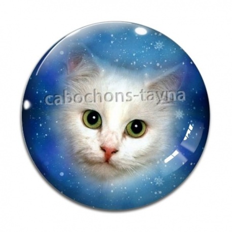 Cabochon Verre - chat