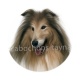 chien