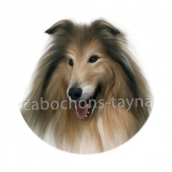 chien