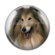 Cabochon Résine - chien