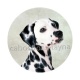 chien dalmatien