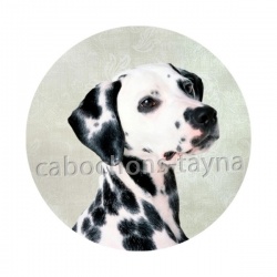 chien dalmatien