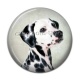 Cabochon Résine - chien dalmatien
