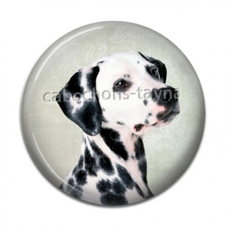 Cabochon Résine - chien dalmatien