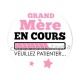 grand mère en cours