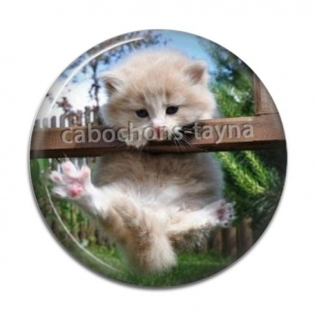 Cabochon Résine - chaton