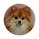 chien