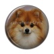 Cabochon Résine - chien
