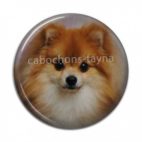 Cabochon Résine - chien