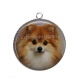 Pendentif Cabochon Argent - chien