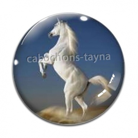 Cabochon Verre - cheval