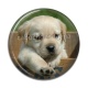 Cabochon Résine - chien
