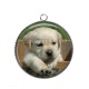 Pendentif Cabochon Argent - chien