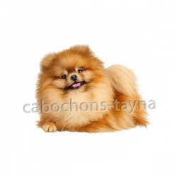 chien