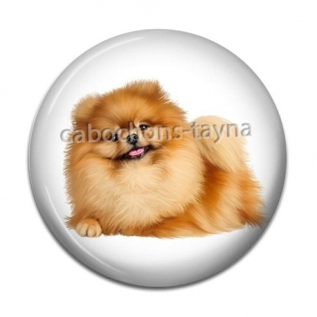 Cabochon Résine - chien