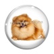 Cabochon Verre - chien