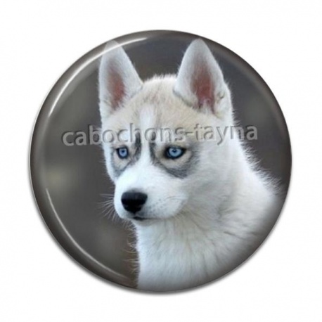Cabochon Résine - chien