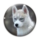 Cabochon Verre - chien