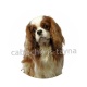 chien