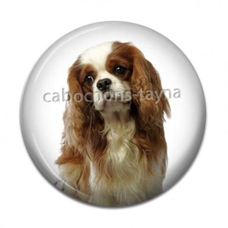 Cabochon Résine - chien